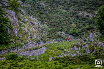 FILIPE ANDRE COELHO PERNAS Covadonga 2019 General 16