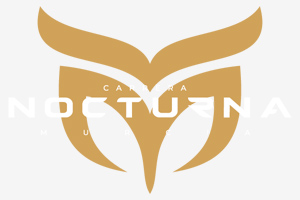 Fotos&nbsp;Carrera Nocturna Murcia 2026