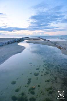 ZMitja Santa Pola 2026 General 07