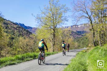 zEbro Gold Ride 2024 General 21