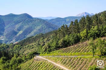 JAVIER GONZALEZ GONZALEZ Gran Fondo Bibe 2019 General 15
