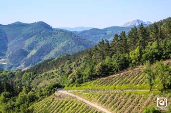 INIGO CONDE IPARRAGUIRRE Gran Fondo Bibe 2019 General 15