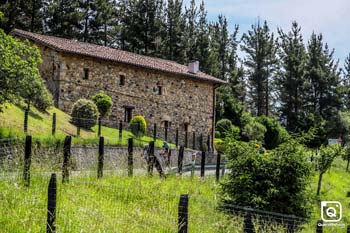 JAVIER GONZALEZ GONZALEZ Gran Fondo Bibe 2019 General 22