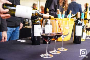 zOrbea Gravel 2025 General 37