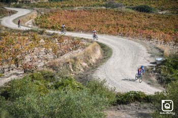 MIGUEL SOTILLOS GOMEZ Orbea Gravel 2022 General 25