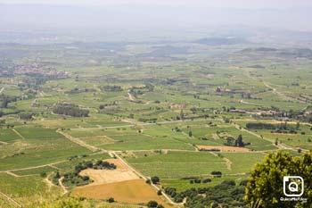 JABI GORBEA UGARTE zGF Vitoria 2025 General 23
