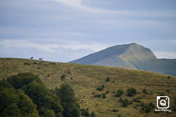 MANEX SAEZ DE EGILAZ LARREA zIrati BTT 2025 General 11