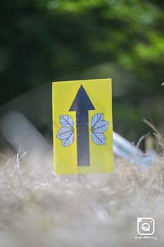 MANEX SAEZ DE EGILAZ LARREA zIrati BTT 2025 General 19