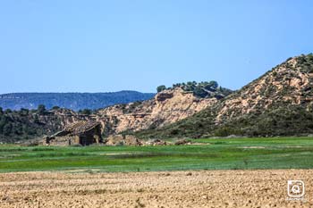 EDORTA ALDAMA URQUIJO Generales Monegros 2019 06