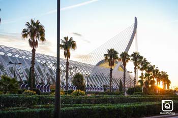 Z10K Valencia 2026 General 17