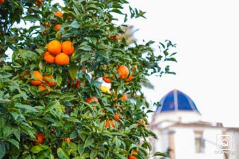 Z10K Valencia 2026 General 19