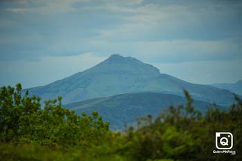 zDBD 2025 General 14