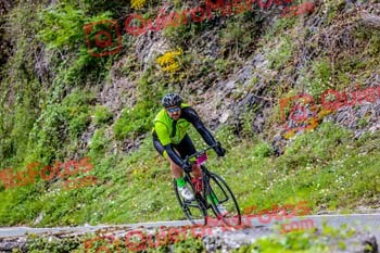 ENAUT SAN VICENTE BACAICOA La Peluso 2019 5 04499