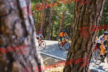 JOSE VICENTE FERRER GIL La Perico 2025 016610