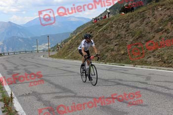 JORDI COLL NOGUER Purito 2016 14150
