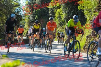 DAVID SOSA PINO La Remences 2024 S 002915