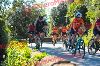 CRISTINA SAULEDA SERRA La Remences 2024 S 004534