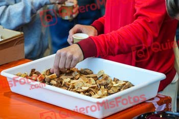 La Remences 2024 R 000082