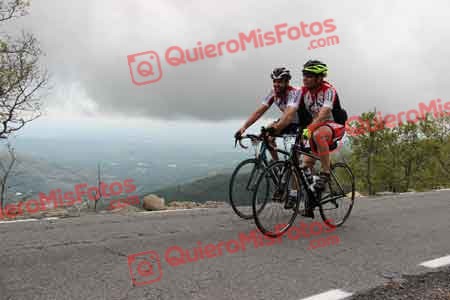 ALVARO MARQUEZ GONZALEZ Contador 02950
