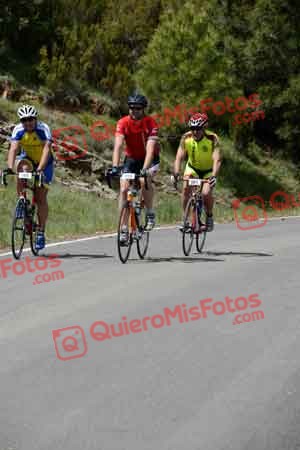 MIGUEL ANGEL MINGUELLA ALBAREDA  ALM4010