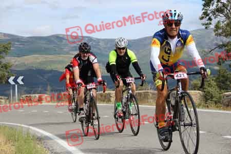 CARLOS JAVIER DALMAU ORTIZ Perico 2015 09274