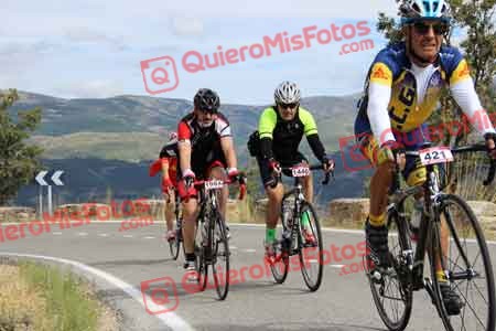 CARLOS JAVIER DALMAU ORTIZ Perico 2015 09275