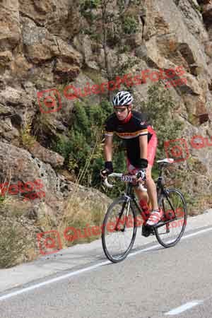 GUILLERMO FRANCES SAMPER Perico 2015 11238