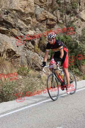 GUILLERMO FRANCES SAMPER Perico 2015 11239