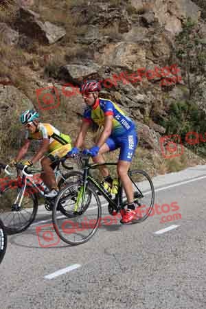 JAVIER SILVAN BUENO Perico 2015 11487
