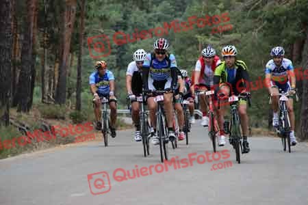 TONI VIDAL SIMO Perico 2015 17565