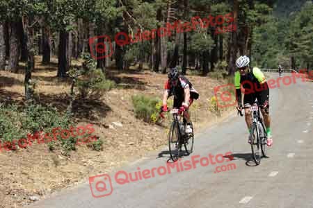 CARLOS JAVIER DALMAU ORTIZ Perico 2015 17892