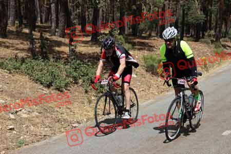 CARLOS JAVIER DALMAU ORTIZ Perico 2015 17893