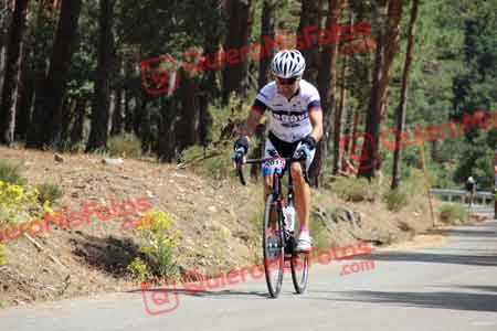 MIGUEL ANGEL CAMPO RUBIN Perico 2015 18038