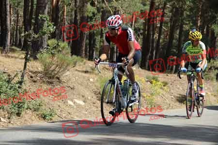RUBEN RIBES BAIXAULI Perico 2015 18163