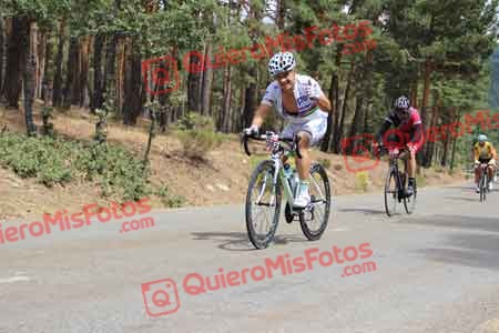 JOSE MARIA AMADOR ALVAREZ Perico 2015 20631
