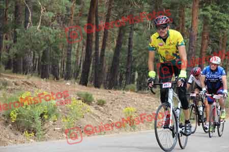 FERNANDO ALVAREZ CANON Perico 2015 21317