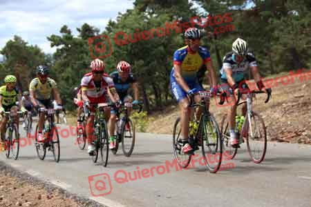 JAVIER SILVAN BUENO Perico 2015 28452