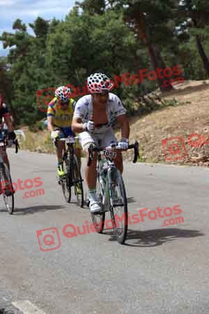 JOSE MARIA AMADOR ALVAREZ Perico 2015 29467