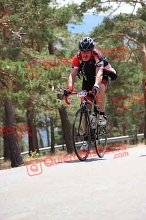 CARLOS JAVIER DALMAU ORTIZ Perico 2015 31456