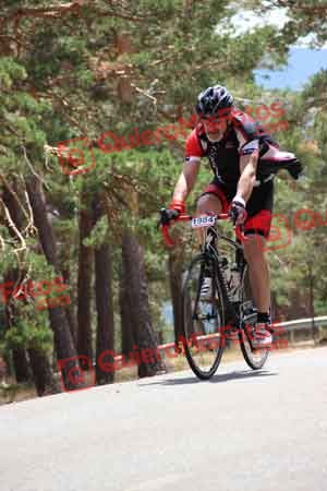 CARLOS JAVIER DALMAU ORTIZ Perico 2015 31458