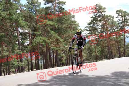 ALVARO PAEZ BORDA Perico 2015 31493