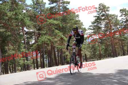ALVARO PAEZ BORDA Perico 2015 31494