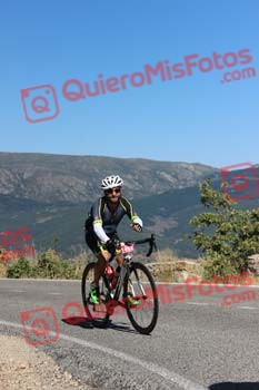 ANDONI CORES MOYA Perico 2016 10799