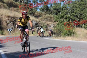 LUIS SANCHO BRAVO Perico 2016 11106