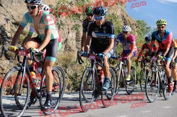 ALBERTO FERNANDEZ DE LA PUEBLA Perico 2016 12507