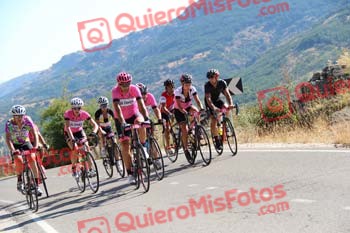 SILVIA CORTES NEVADO Perico 2016 16664