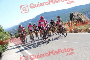 SILVIA CORTES NEVADO Perico 2016 16667
