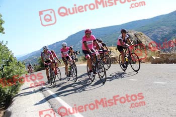 SILVIA CORTES NEVADO Perico 2016 16668