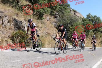 SILVIA CORTES NEVADO Perico 2016 22213