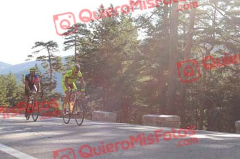 ALBERTO FERNANDEZ DE LA PUEBLA Perico 2016 00013